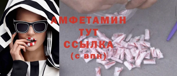 молекула духа Горно-Алтайск