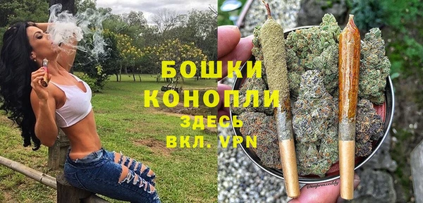 молекула духа Горно-Алтайск