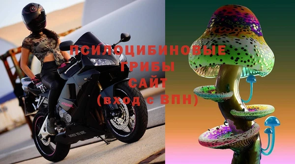 молекула духа Горно-Алтайск