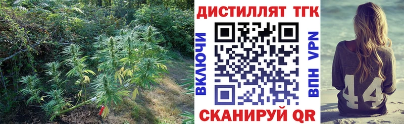 OMG маркетплейс  Севастополь  Дистиллят ТГК Wax 