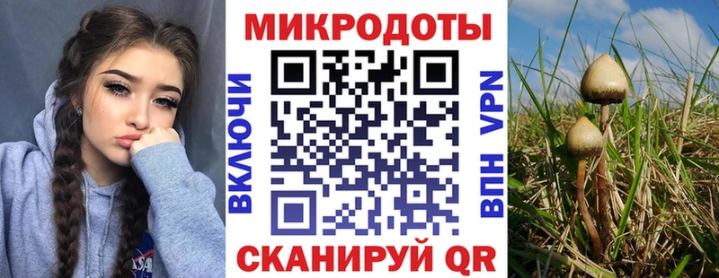 Псилоцибиновые грибы Cubensis  Севастополь 